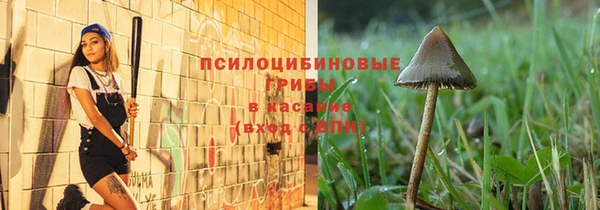 амф Зерноград